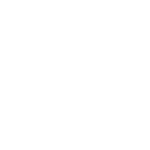 CTR Shoe Store